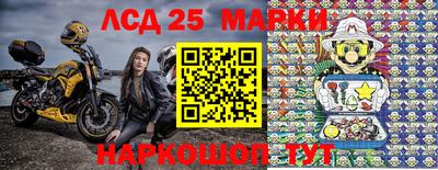 МДПВ Бердск