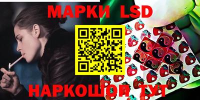 МДПВ Бердск