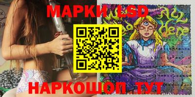 МДПВ Бердск