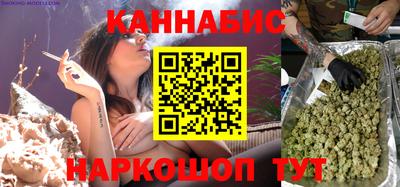 МДПВ Бердск