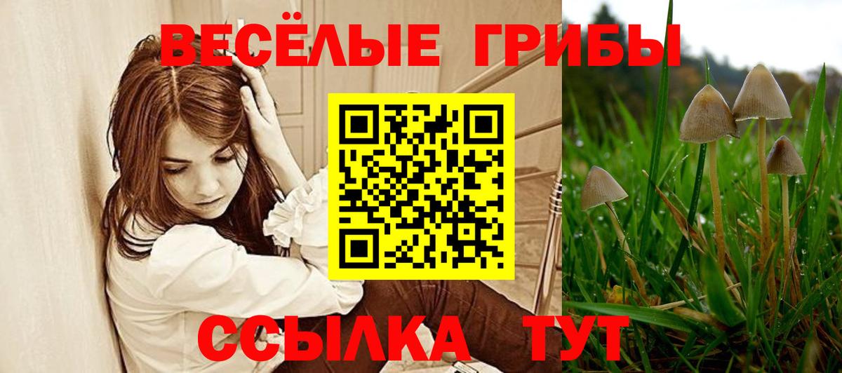 Галлюциногенные грибы Magic Shrooms Бузулук