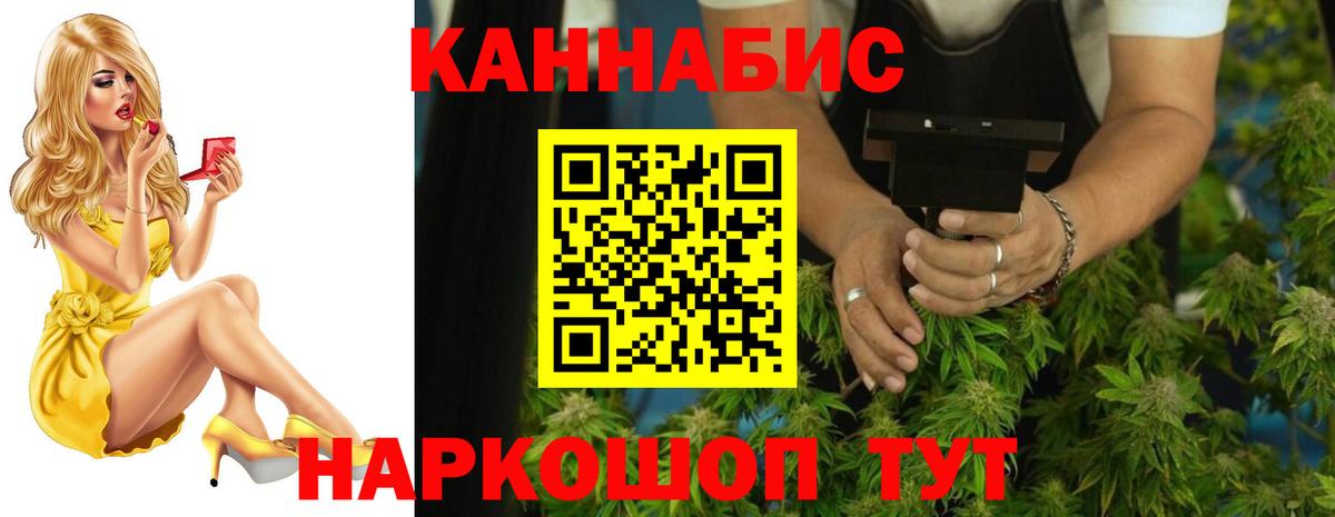 Конопля сатива Бузулук
